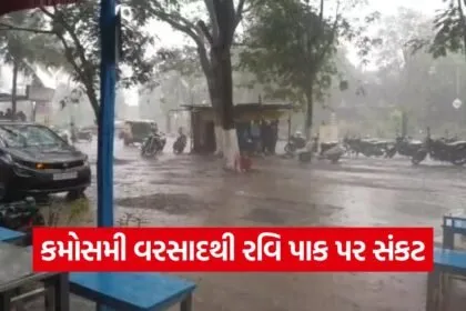 Navsari Unseasonal Rain 1