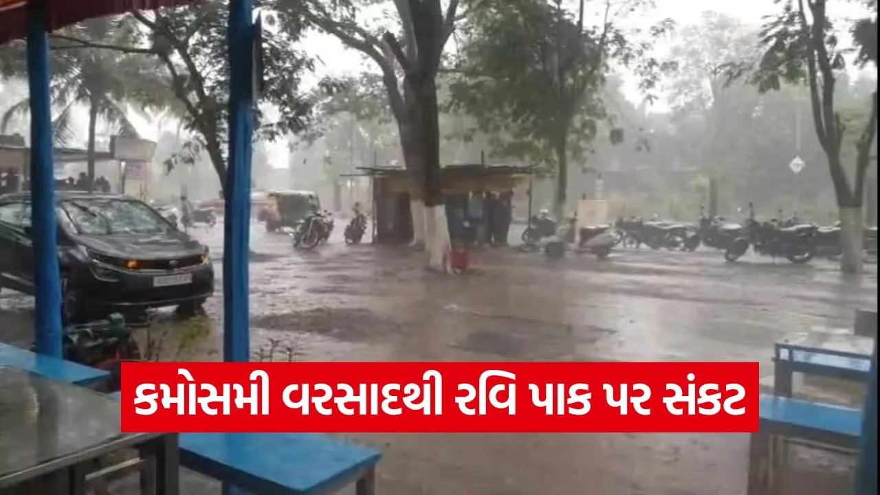 Navsari Unseasonal Rain 1.jpg