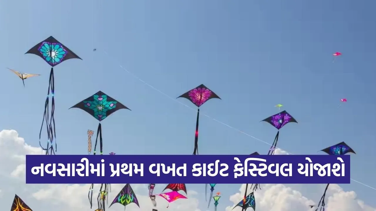 Navsari Kite Festival.jpg