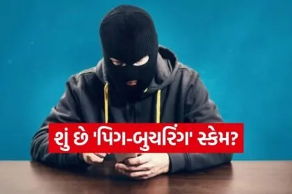 Cyberfraud