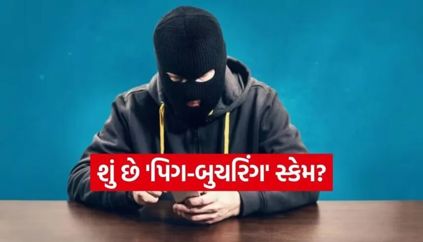 Cyberfraud