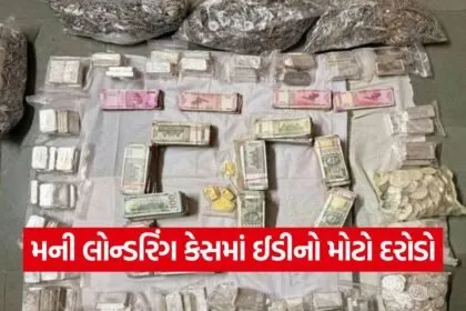 stock market investment scam ed action 1