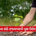 Gujarat River Tree Plantation Drive