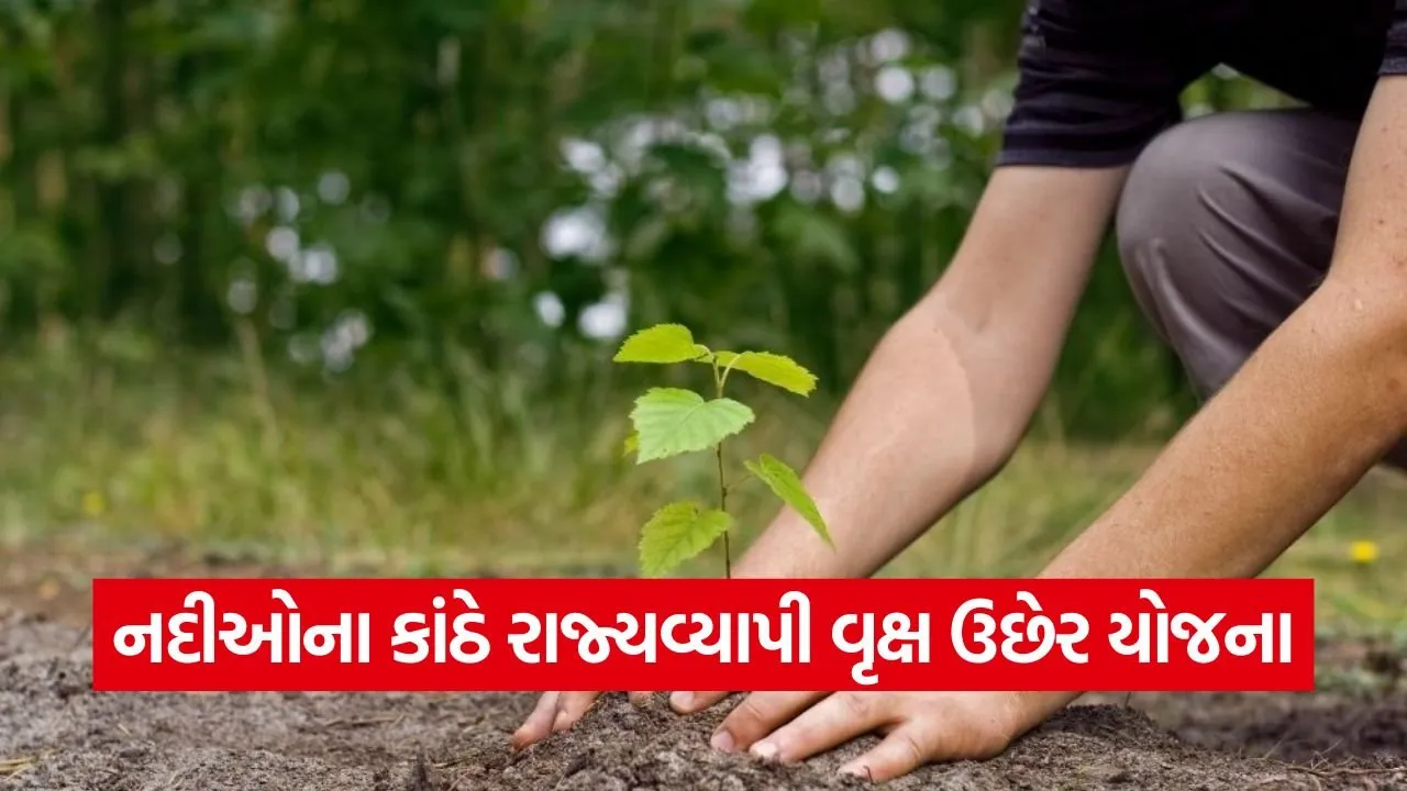 Gujarat River Tree Plantation Drive.jpg