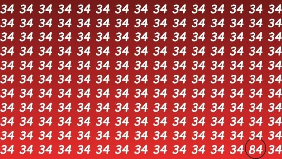 34 ની ભીડમાં છુપાયો છે 84, માત્ર 5 સેકન્ડમાં શોધી બતાવશો તો ગણાશો જીનિયસ! 3 optical.jpg