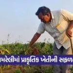 Natural Farming Success Amreli 1