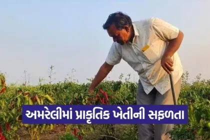 Natural Farming Success Amreli 1