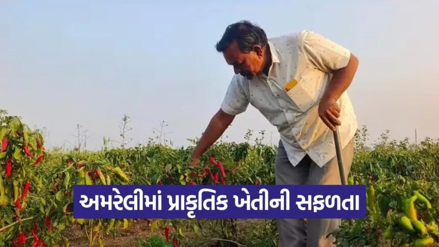 Natural Farming Success Amreli 1