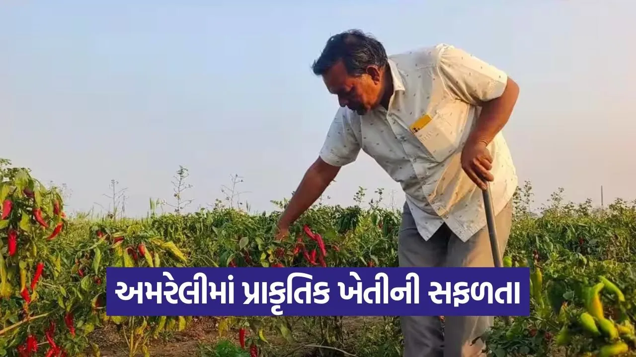 Natural Farming Success Amreli 1.jpg
