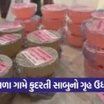 natural soap business Gujarat 1
