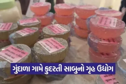 natural soap business Gujarat 1