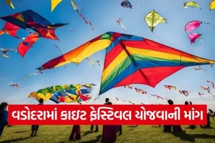 Vadodara International Kite Festival 1