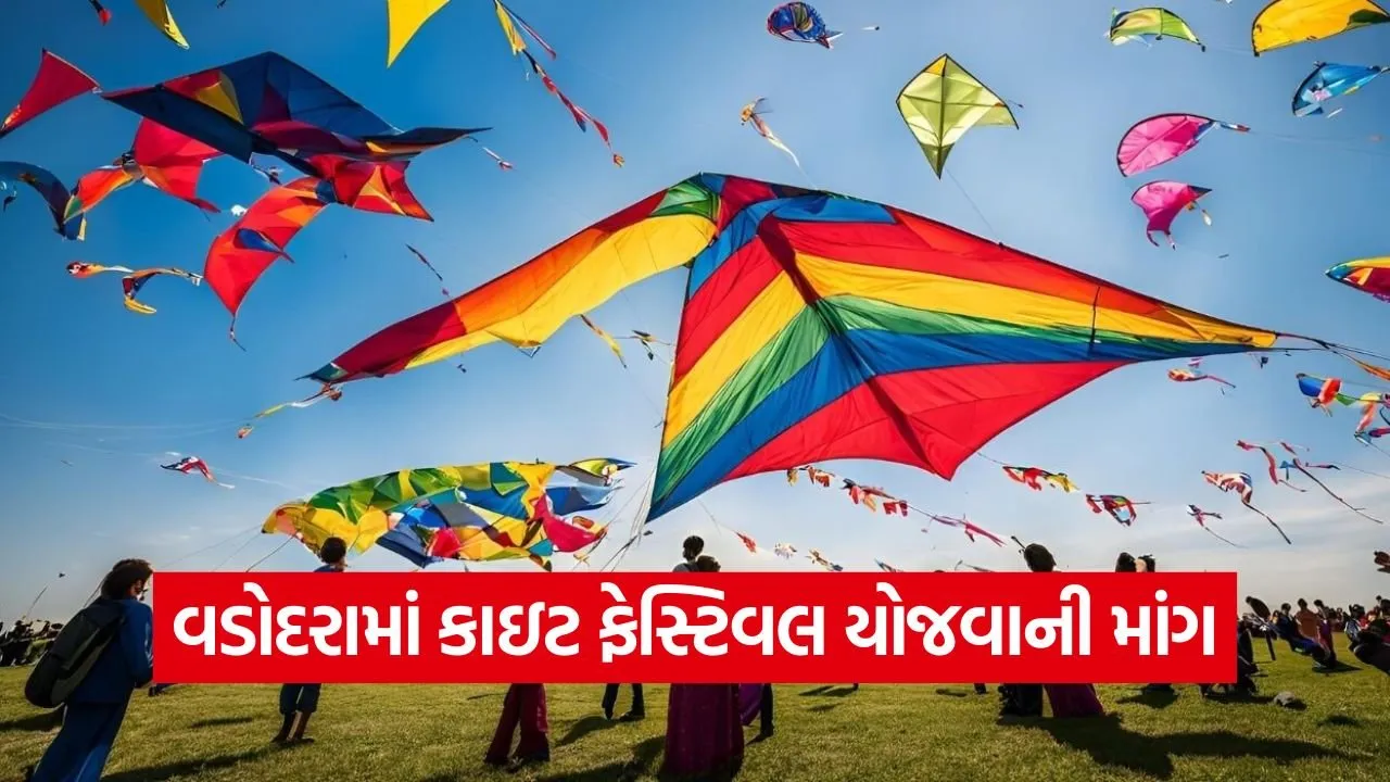 Vadodara International Kite Festival 1.jpg