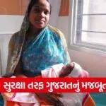 Namo Shri Yojana Gujarat 1