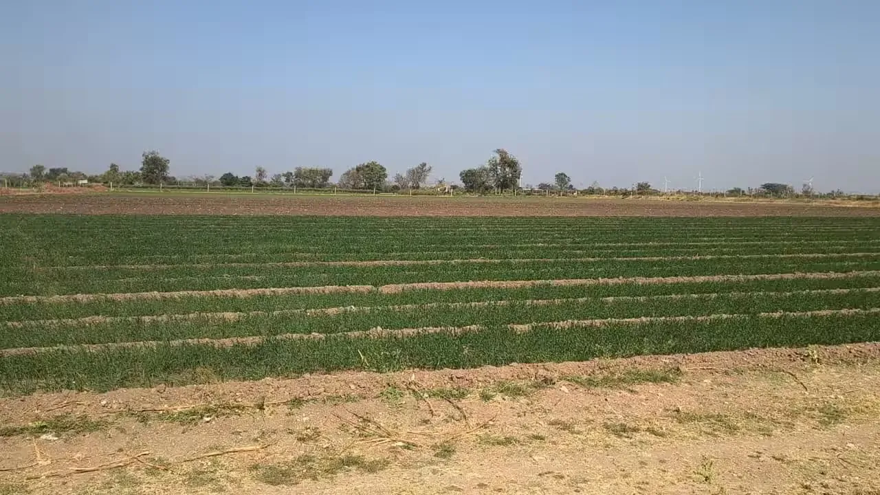 અમરેલીના જીરા પંથકમાં ઉદ્યોગપતિની અનોખી પહેલ, ખેડૂતો માટે કરોડોનું તળાવ બનશે આશીર્વાદ 2 Amreli Farmer Water Project.png