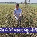 Natural Farming Gujarat 2