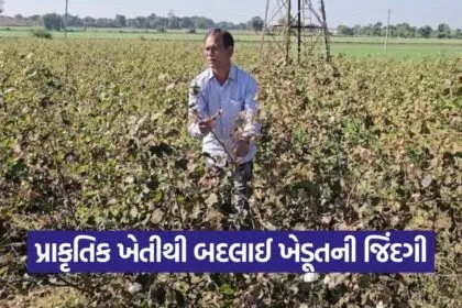 Natural Farming Gujarat 2