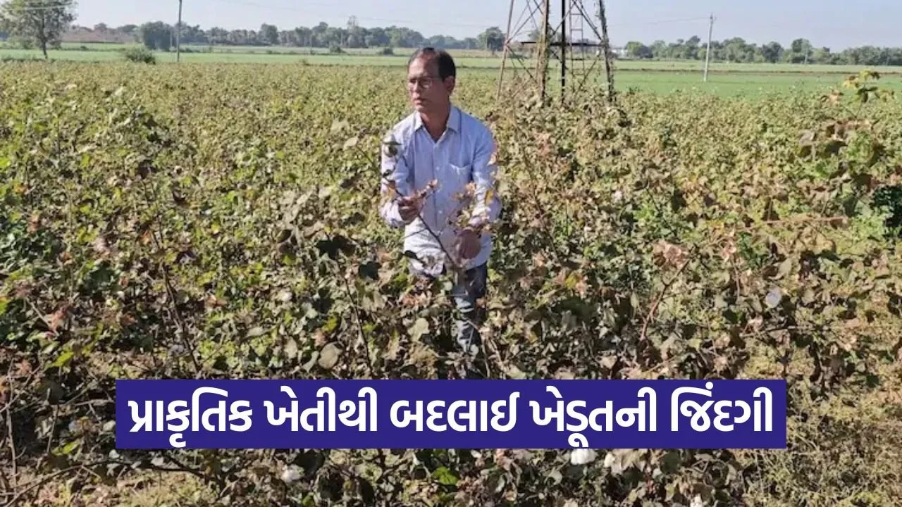 Natural Farming Gujarat 2.jpg