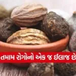 dharmishtha 1 20