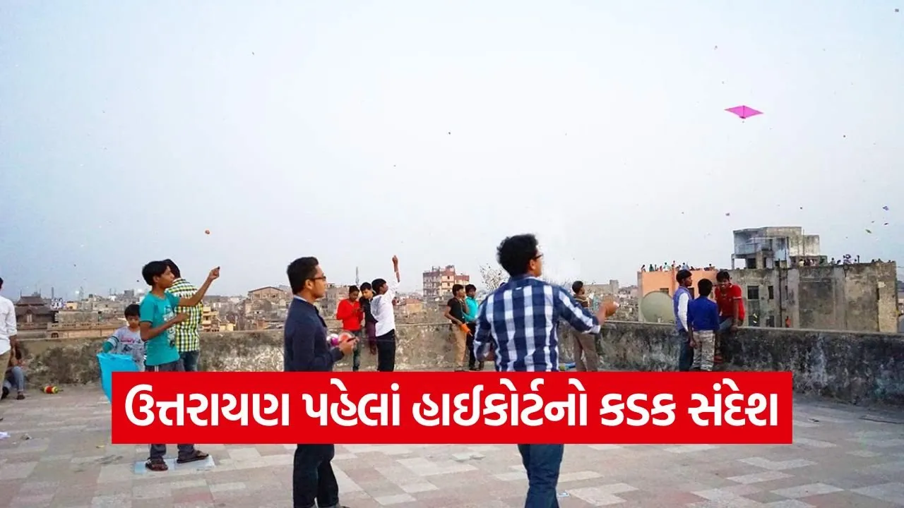 Kite String Safety Gujarat 1.jpg