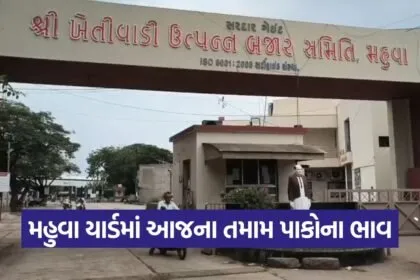Mahuva Marketing Yard Prices 2
