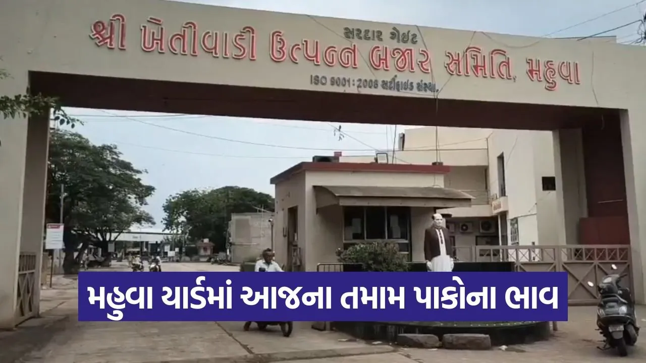 Mahuva Marketing Yard Prices 2.jpg