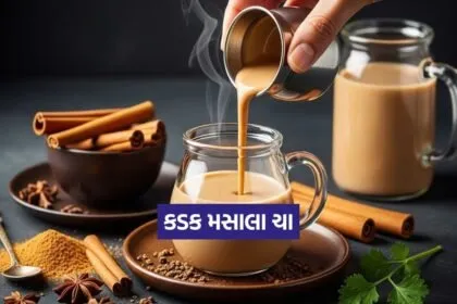Dharmishtha 2026 01 03T171048.747