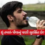 INDIA 1 2026 01 03T175211.407