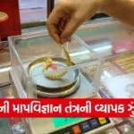 Gujarat Gold Jewellery Weight Check Action 1