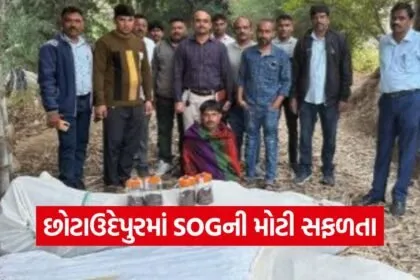 Chhotaudepur Ganja Seizure