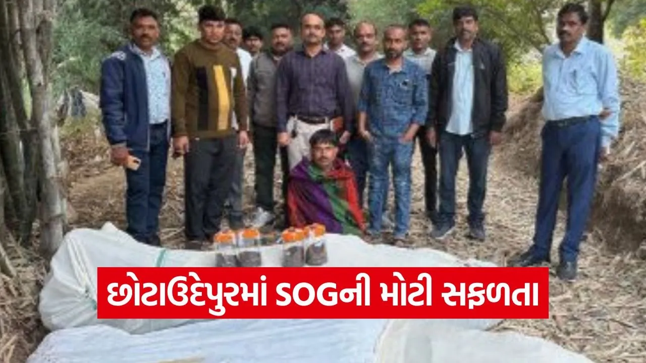 Chhotaudepur Ganja Seizure.jpg