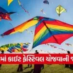 Vadodara Kite Festival 2026 1