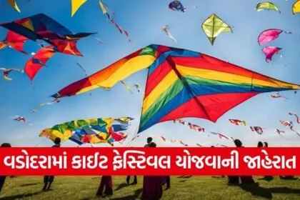 Vadodara Kite Festival 2026 1