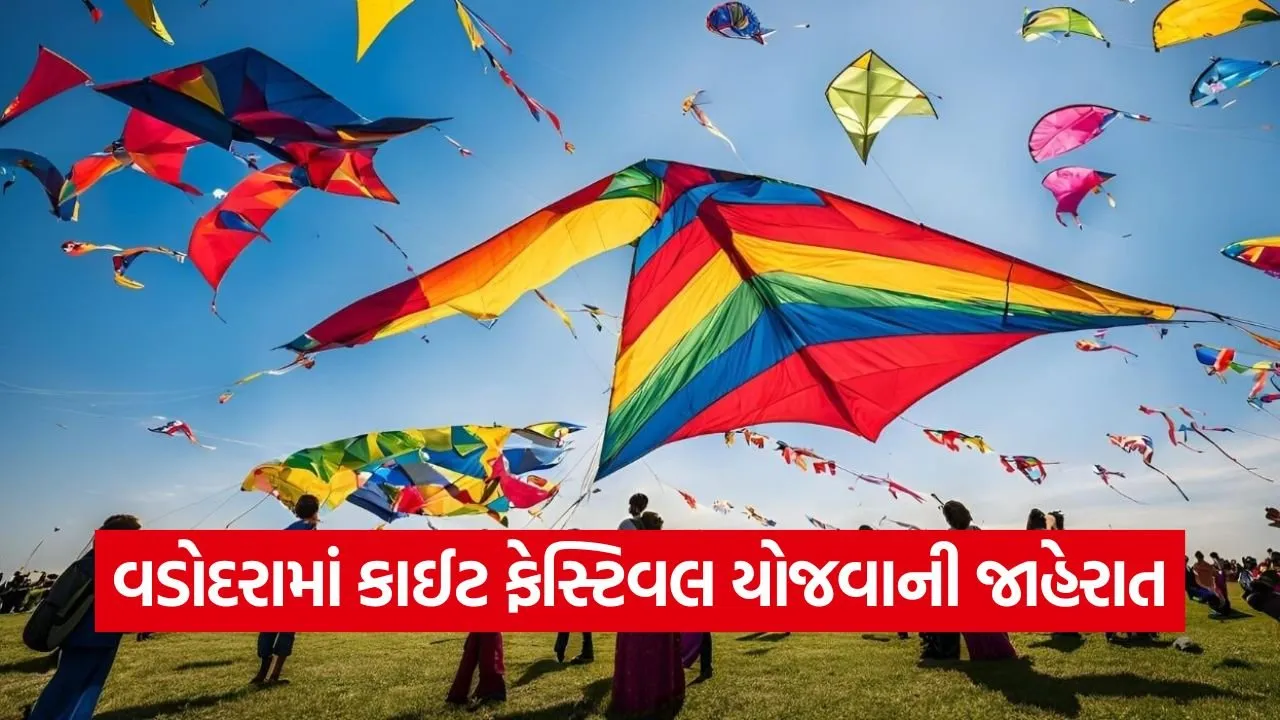 Vadodara Kite Festival 2026 1.jpg