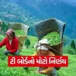 Imported Tea Quality Check 1