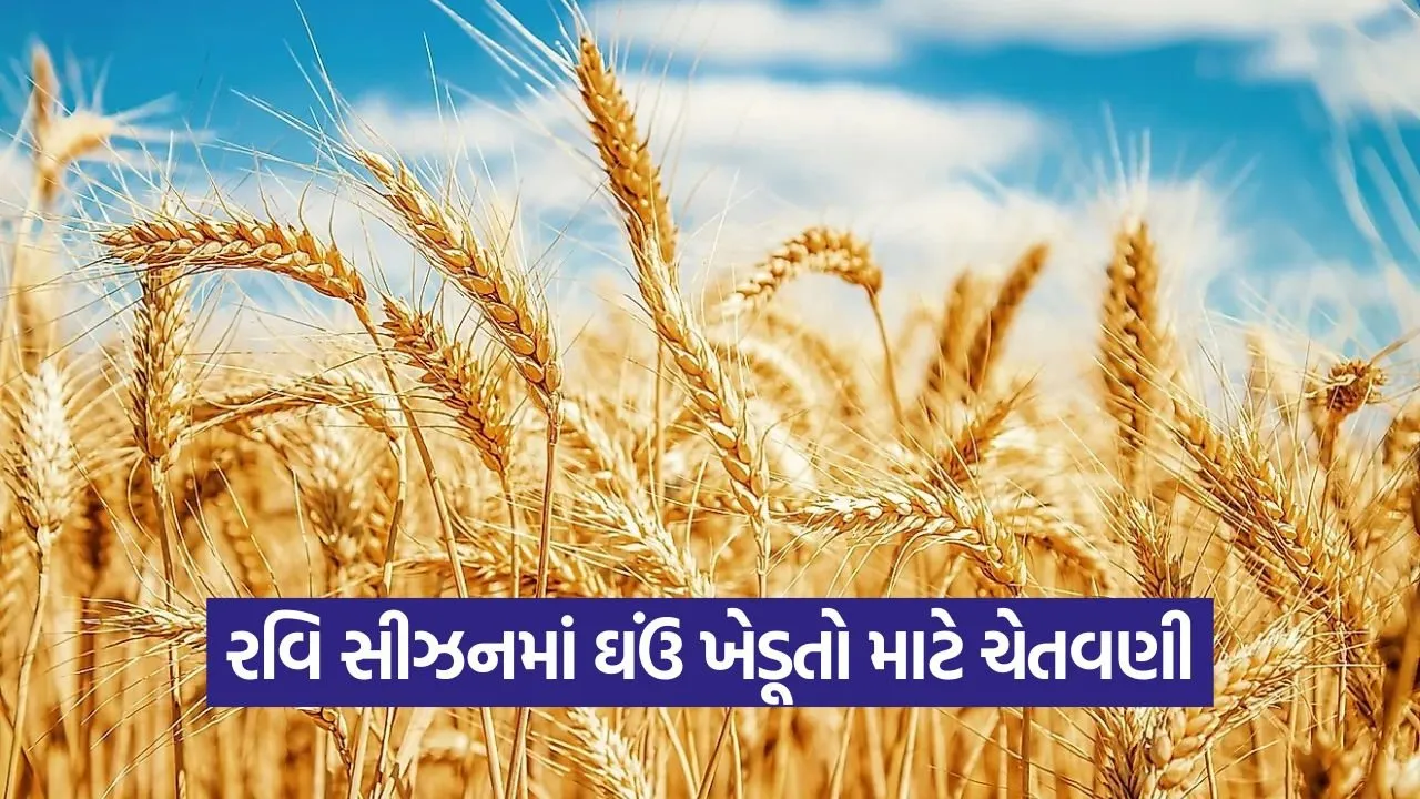 Wheat Crop Protection 1.jpg