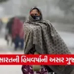 Gujarat Cold Weather Update 1
