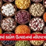 Gujarat Pulses Production Growth 1
