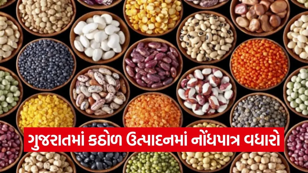 Gujarat Pulses Production Growth 1.jpg