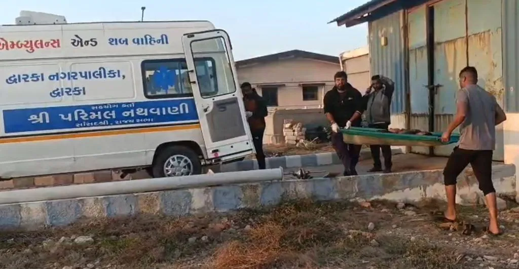 યાત્રાળુઓની ભીડ વચ્ચે દ્વારકામાં લાઈટહાઉસ પરથી પડતા માતા અને પુત્રનું મોત 3 Dwarka Lighthouse Incident.png