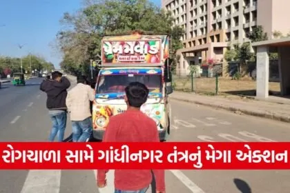 Gandhinagar Typhoid Action 1
