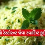 Pudina Rice