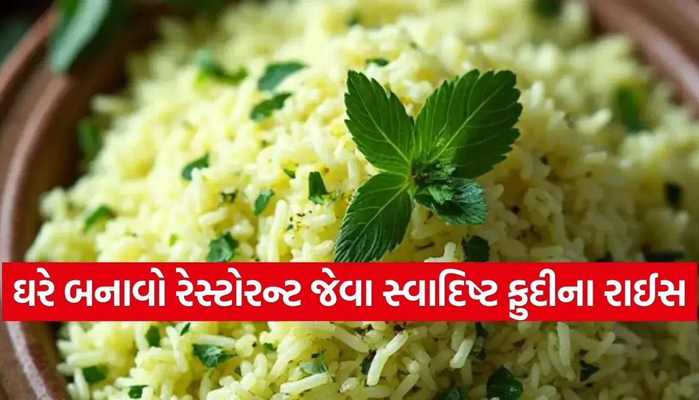 Pudina Rice