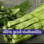 Dharmishtha