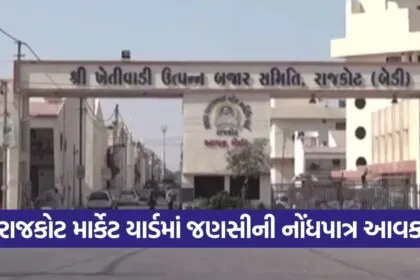 Rajkot market yard prices 1