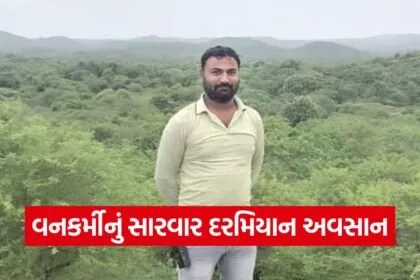 Gir forest rescue incident 1