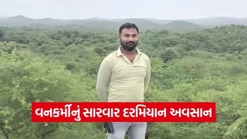 Gir forest rescue incident 1