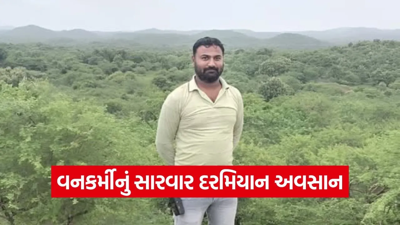 Gir forest rescue incident 1.jpg