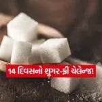 INDIA 1 5