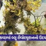 Blue Economy Kutch 1